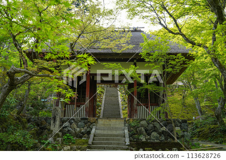 Jotokoji寺 113628726