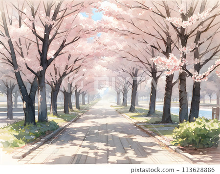清新的櫻花林蔭道，盛開的春天水彩風格 113628886