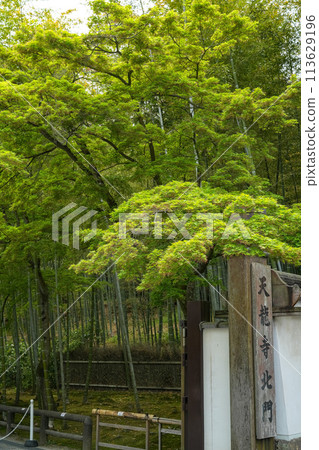 天龍寺北門 113629196