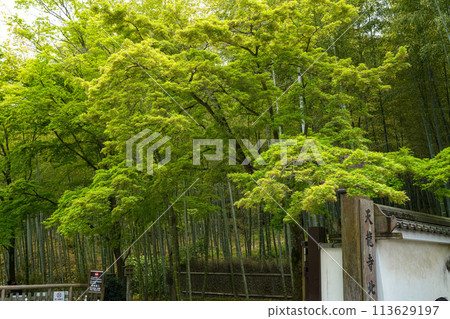 天龍寺北門 113629197