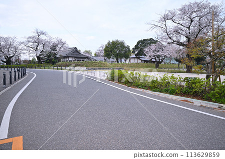 川越城本丸宮遺址與櫻花 川越城本丸宮遺址與櫻花 113629859