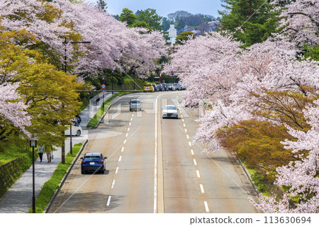 A moat street running between Kenrokuen and Kanazawa Castle Park and rows of cherry trees in full bloom | Tourism image | Kanazawa City, Ishikawa Prefecture A moat street running between Kenrokuen and Kanazawa Castle Park and rows of cherry trees in full bloom | Tourism image | Kanazawa City, Ishikawa Prefecture 113630694