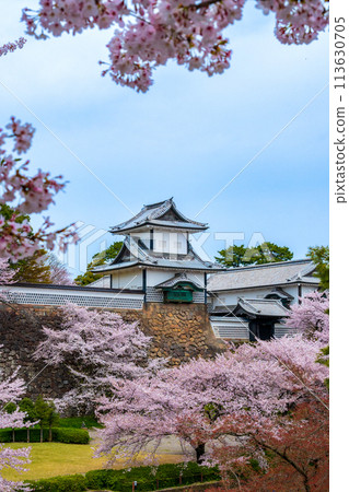 櫻花盛開、春意盎然的金澤城公園石川門 | 石川縣金澤市旅遊形象 113630705