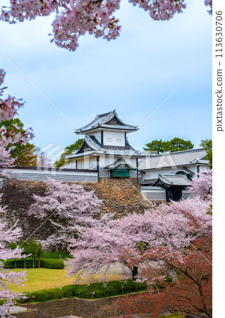 Scenery of cherry blossoms in full bloom and Ishikawa Gate in Kanazawa Castle Park surrounded by spring sunshine | Tourism image | Kanazawa City, Ishikawa Prefecture 113630706