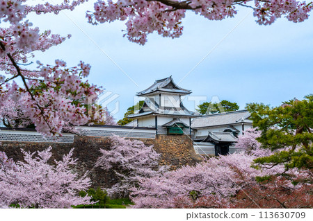 櫻花盛開、春意盎然的金澤城公園石川門 | 石川縣金澤市旅遊形象 113630709