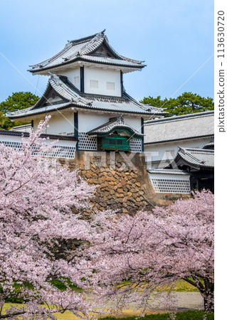 Scenery of cherry blossoms in full bloom and Ishikawa Gate in Kanazawa Castle Park surrounded by spring sunshine | Tourism image | Kanazawa City, Ishikawa Prefecture 113630720