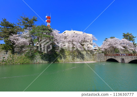 [福井縣] 福井城跡與晴天盛開的櫻花（五本莊橋） 113630777