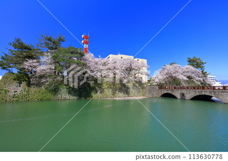 [福井縣] 福井城跡與晴天盛開的櫻花（五本莊橋） 113630778