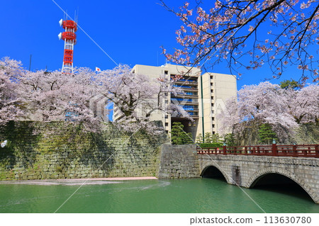 [福井縣] 福井城跡與晴天盛開的櫻花（五本莊橋） 113630780