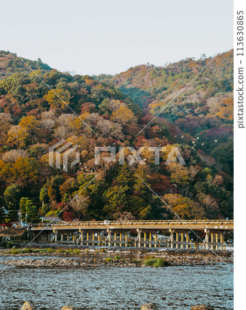 Arashiyama of autumn leaves and Togetsu bridge 113630865