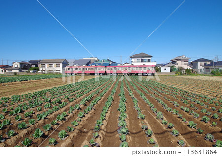 Junko Electric Railway and Field 113631864