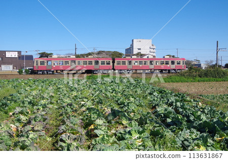 Choshi Electric Railway, near Inubo Station 113631867