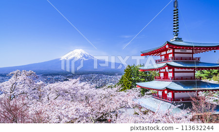 山梨縣的旅遊勝地新倉山淺間公園的春天景色【山梨縣富士吉田市】 113632244