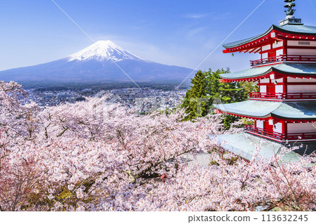 從展望台可以看到新倉山淺間公園的壯麗春景 - 富士山、五層寶塔和櫻花【山梨縣富士吉田市】 從展望台可以看到新倉山淺間公園的壯麗春景 - 富士山、五層寶塔和櫻花【山梨縣富士吉田市】 113632245