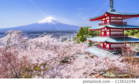 從展望台可以看到新倉山淺間公園的壯麗春景 - 富士山、五層寶塔和櫻花【山梨縣富士吉田市】 113632246