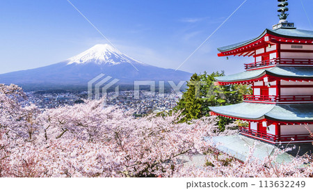 從展望台可以看到新倉山淺間公園的壯麗春景 - 富士山、五層寶塔和櫻花【山梨縣富士吉田市】 從展望台可以看到新倉山淺間公園的壯麗春景 - 富士山、五層寶塔和櫻花【山梨縣富士吉田市】 113632249
