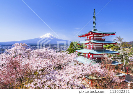 春天的新倉山淺間公園－富士山、五層寶塔、盛開的櫻花【山梨郡富士吉田市】 113632251