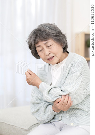 Senior woman with elbow pain Elbow pain Joint pain 113632536