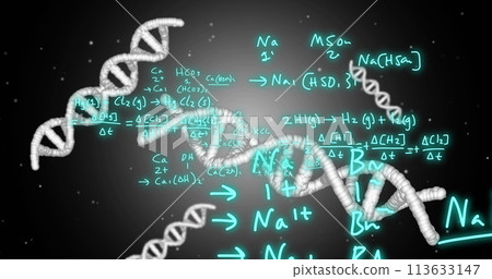 Image of dna strands, mathematical formulae and scientific data processing over grey background 113633147