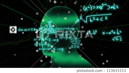Image of mathematical formulae and scientific data processing over human head 113633153