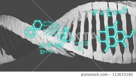 Image of dna strand, mathematical formulae and scientific data processing over grey background 113633180