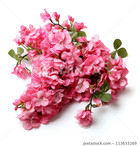 Blooming Branch Flowers in a Springtime Botanical Garden, Generative Ai Blooming Branch Flowers in a Springtime Botanical Garden, Generative Ai 113633269