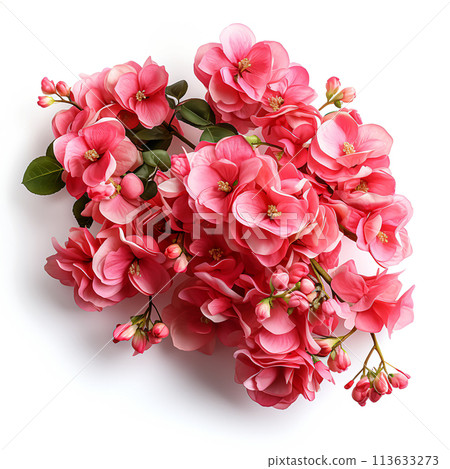 Blooming Branch Flowers in a Springtime Botanical Garden, Generative Ai 113633273