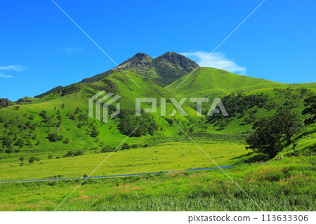夏天的由布岳(布市由布院町) 夏天的由布岳(布市由布院町) 113633306