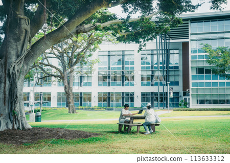 Students studying on a lush American college campus Students studying on a lush American college campus 113633312
