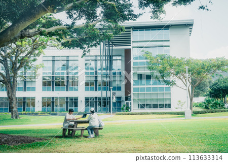 學生們在鬱鬱蔥蔥的美國大學校園裡學習 113633314