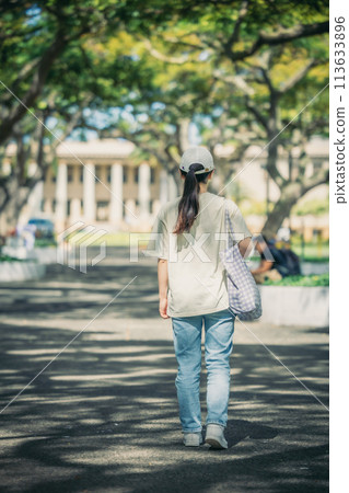 Students walking through a lush American college campus Students walking through a lush American college campus 113633896
