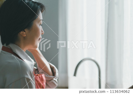 homemaker, kitchen, kitchens 113634062