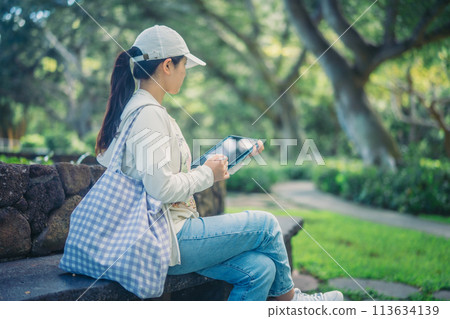 學生們在鬱鬱蔥蔥的美國大學校園裡學習 學生們在鬱鬱蔥蔥的美國大學校園裡學習 113634139