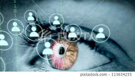 Image of human eye, connections and data processing Image of human eye, connections and data processing 113634255