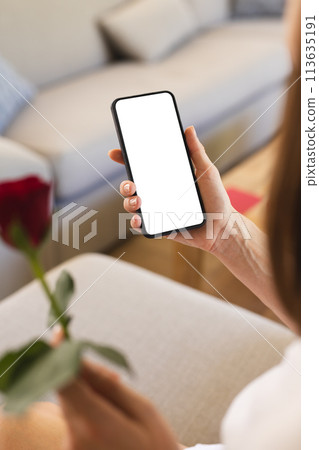 A young woman holds a smartphone and a red rose, on a video call with copy space A young woman holds a smartphone and a red rose, on a video call with copy space 113635191