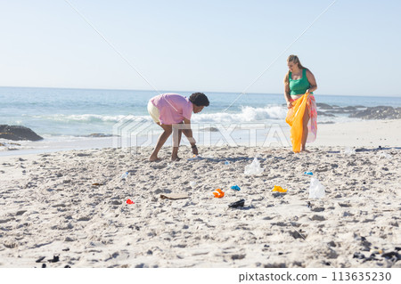 Young Caucasian woman and African American man clean a beach by collecting trash with copy space Young Caucasian woman and African American man clean a beach by collecting trash with copy space 113635230