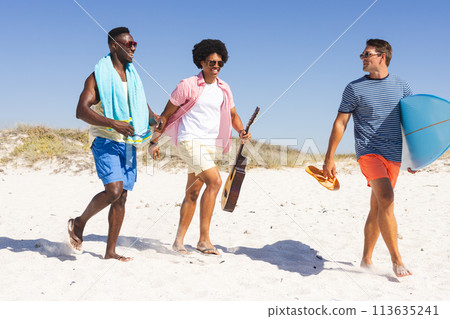 Diverse friends enjoy a sunny beach day 113635241