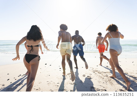 Diverse friends run towards the sea on a sunny beach day 113635251