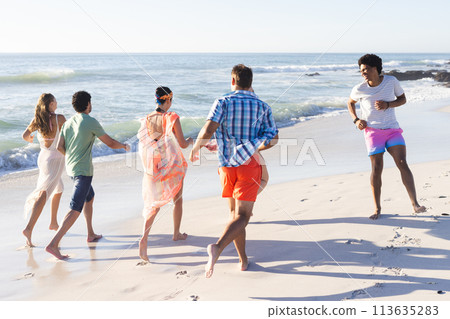Diverse group of friends enjoy a day at the beach 113635283