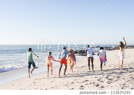 Diverse group of friends enjoy a day at the beach 113635291