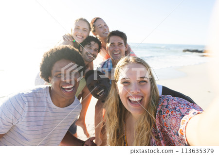Diverse friends smile for a selfie on a sunny beach 113635379