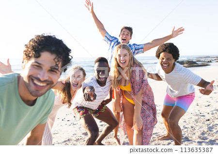 Diverse group of friends enjoying a day at the beach 113635387