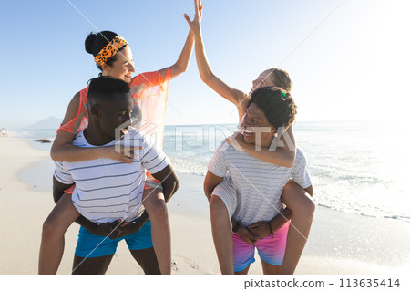 Young biracial woman and young African American man give a high five at the beach 113635414