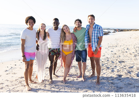 Diverse group of friends enjoy a sunny day at the beach 113635418