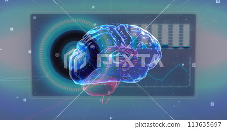 Image of human brain with digital interface data processing 113635697