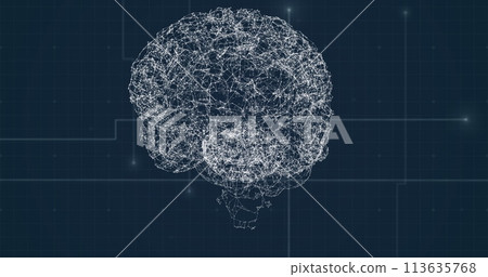 Image of human brain with network of connection over grid 113635768