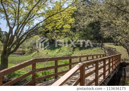 Children's Nature Park, Asahi Ward, Yokohama City, Kanagawa Prefecture 113636175