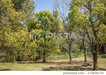 神奈川縣橫濱市旭區兒童自然公園 113636179