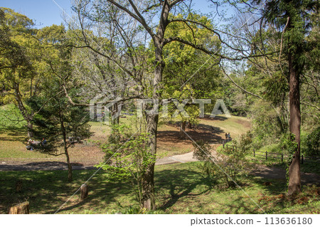 神奈川縣橫濱市旭區兒童自然公園 神奈川縣橫濱市旭區兒童自然公園 113636180
