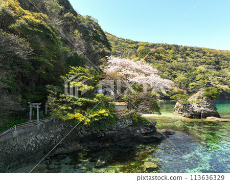 愛媛郡伊方町住吉神社風景 113636329